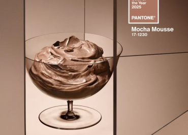 Farba roka 2025: Mocha Mousse